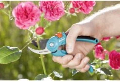 GARDENA - Classic B/S-M Bypass Snoeischaar - Ø 22mm - 25 Jaar Garantie 24 GARDENA - Classic B/S-M Bypass Snoeischaar - Ø 22mm - 25 Jaar Garantie -Tuingereedschaps Winkel 1200x825 11