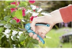 GARDENA - Classic B/S-M Bypass Snoeischaar - Ø 22mm - 25 Jaar Garantie 25 GARDENA - Classic B/S-M Bypass Snoeischaar - Ø 22mm - 25 Jaar Garantie -Tuingereedschaps Winkel 1200x825 12