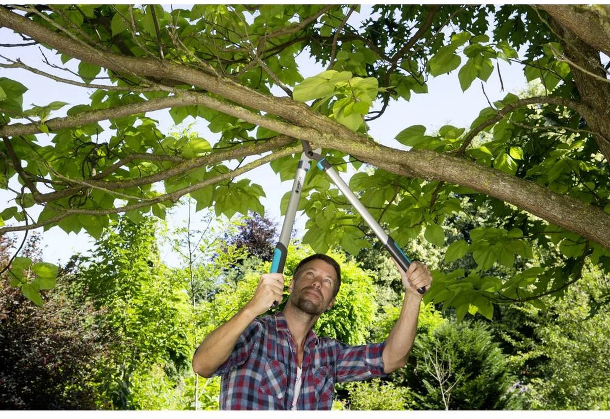 Gardena EasyCut Takkenschaar 68B + Classic Snoeischaar 8754 Display 1stuk 12003-30 4 Gardena EasyCut Takkenschaar 68B + Classic Snoeischaar 8754 Display 1stuk 12003-30 - Afbeelding 2