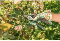 Bosch EasyPrune Accu Snoeischaar - 3.6 V Accu - USB -Tuingereedschaps Winkel 1200x825 16