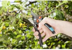 GARDENA - Comfort B/S-XL Bypass - Snoeischaar - Ø 24 Mm - 25 Jaar Garantie 30 GARDENA - Comfort B/S-XL Bypass - Snoeischaar - Ø 24 Mm - 25 Jaar Garantie -Tuingereedschaps Winkel 1200x825 3