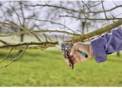 GARDENA - ExpertCut - Snoeischaar - 22 Diameter Tak 33 GARDENA - ExpertCut - Snoeischaar - 22 Diameter Tak -Tuingereedschaps Winkel 1200x859 1