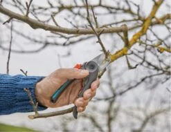 GARDENA - ExpertCut - Snoeischaar - 22 Diameter Tak 21 GARDENA - ExpertCut - Snoeischaar - 22 Diameter Tak -Tuingereedschaps Winkel 1200x929