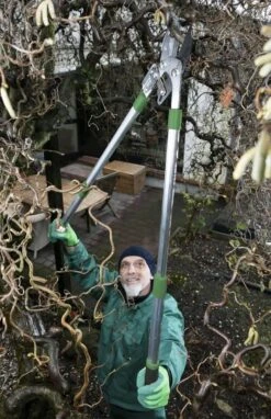 Telescopische Takkenschaar, 6-voudig -Tuingereedschaps Winkel 775x1200 1