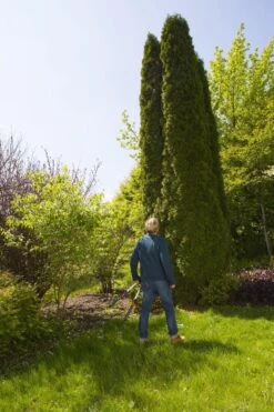 GARDENA TeleCut Heggenschaar - Telescopische Handgrepen Van 70-90 Cm 18 GARDENA TeleCut Heggenschaar - Telescopische Handgrepen Van 70-90 Cm -Tuingereedschaps Winkel 799x1200 44