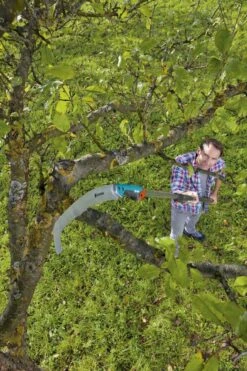 GARDENA Combisysteem Snoeizaag 300PP Curved Takkenzaag - Meslengte 315 Mm - Exclusief Verlengstok 15 GARDENA Combisysteem Snoeizaag 300PP Curved Takkenzaag - Meslengte 315 Mm - Exclusief Verlengstok -Tuingereedschaps Winkel 799x1200 71