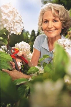 WOLF-Garten Snoeischaar "Premium Plus" RR 4000 - Max. Knipdiameter 22 Mm - Links- En Rechtshandige - Softinleg Handgreep - Snijhoek 30° - Voor Grote Handen - Vervangbare Messen -Tuingereedschaps Winkel 800x1200 29