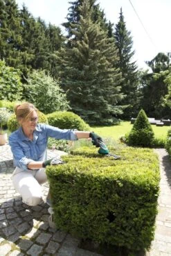 Bosch ISIO Gen III Accu Buxusschaar + Grasschaar -Tuingereedschaps Winkel 800x1200 30