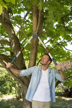 Gardena TeleCut Takkenschaar 650-900 B - Uitschuifbare Armen - Tot Max 90 Cm -Tuingereedschaps Winkel 800x1200 33