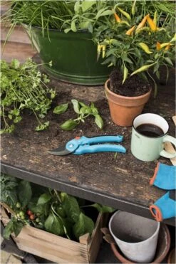 GARDENA - Classic B/S-M Bypass Snoeischaar - Ø 22mm - 25 Jaar Garantie 18 GARDENA - Classic B/S-M Bypass Snoeischaar - Ø 22mm - 25 Jaar Garantie -Tuingereedschaps Winkel 800x1200 34