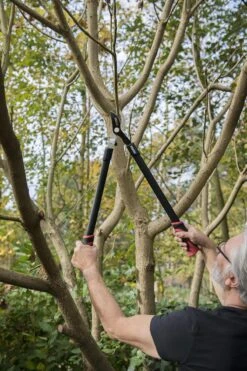 Kreator KRTGR4001 Takkenschaar - 650mm -Tuingereedschaps Winkel 800x1200 37