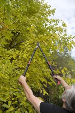 Kreator KRTGR4003 Telescopische Takkenschaar – Jong Hout - Knipdiameter: Ø34 Mm 9 Kreator KRTGR4003 Telescopische Takkenschaar – Jong Hout - Knipdiameter: Ø34 Mm -Tuingereedschaps Winkel 800x1200 38