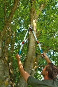 Gardena TeleCut Takkenschaar 650-900 B - Uitschuifbare Armen - Tot Max 90 Cm -Tuingereedschaps Winkel 801x1200 1