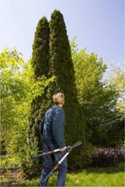 GARDENA TeleCut Heggenschaar - Telescopische Handgrepen Van 70-90 Cm 19 GARDENA TeleCut Heggenschaar - Telescopische Handgrepen Van 70-90 Cm -Tuingereedschaps Winkel 801x1200 3