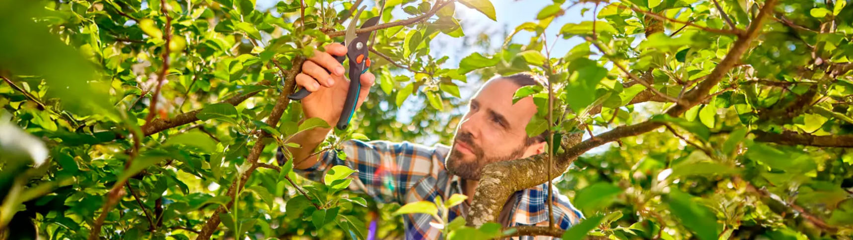 Tuingereedschaps Winkel -Tuingereedschaps Winkel rry